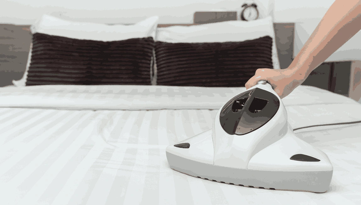 Professional Mattress Cleaning The Patch