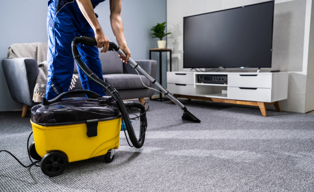 Extract Mattress Cleaning The Patch Contact Office